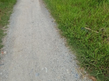 sang nhượng đất nền 