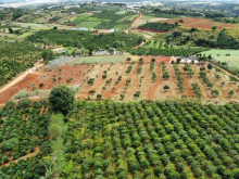  Ngay chủ bán  đất đường liên xã Mê Linh -Phi Tô. Lâm Hà. Lâm Đồng! 