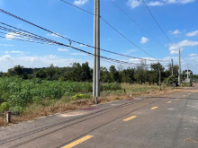 Hàng đẹp thì không ngon bổ rẻ. 