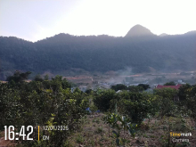 Bán Đất Thổ Cư Tại Thị Trấn Đà Băc.