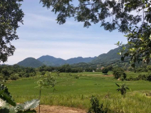 Bán Đất Thổ Cư Tại Xã Tú Lý, Đà Bắc, Hoà Bình.