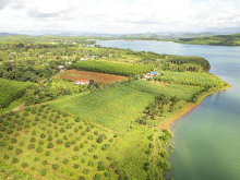 Bán đất view hồ Sông Hinh, đường nhựa, sổ hồng riêng, giá chỉ 250tr/nền. 