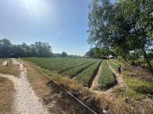 đất gần khu dân cư giáp đường nhựa.