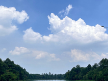 Bán gấp lô đất Tân Định - Bến Cát , diện tích 5x30 , có sổ sẵn và thổ cư 