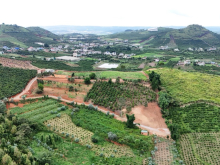 Anh tôi cần bán miếng đất tại xã Nam Hà gần trung tâm.