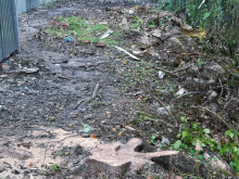 900m² mặt tiền Ql 1 A gần khu công nghiệp Tân Phú Thạnh giá siêu rẽ