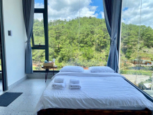 chính chủ bán gấp căn homestay view rừng thông ngay Phường 10, Đà Lạt