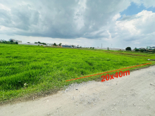 bán 800m2 đất vườn có 200 thổ cư, đường xe tải đường thông giá 3.2 tỷ