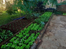 chính chủ cho thuê căn hộ dịch vụ tầng trệt hợp với người lớn tuổi ở Bảo Lộc-LĐ 