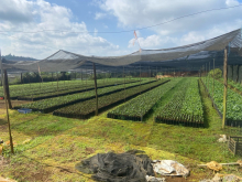 Bán 1000m2 với 400m2 thổ cư, gần mặt tiền đường Lớn Cao Ba Quát và gần Lý Thường