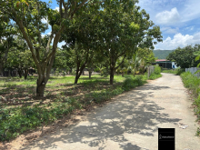 ĐẤT THỔ CƯ AN TOÀN MẶT TIỀN ĐƯỜNG 29m