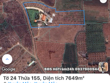 chính Chủ Cần Bán - Homstay Diện Tích hơn 4000m2 trên sổ - thực tế sử dụng hơn