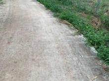 Cần bán 1120m2 đất trung tâm thị trấn Long Giao LH 0345386350