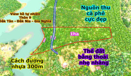 Đất view hồ tự nhiên,nguồn thu mạnh, giá rẻ tại thành phố Gia Nghĩa