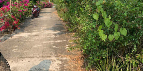 bình nguyên thăng bình - liễu thạnh 107 m2 