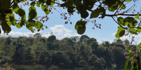 ĐẤT VƯỜN VIEW HỒ CƯ PƠNG