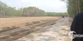 giá từ 200-300 tr công chứng nhanh trong ngày 