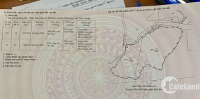 Bán 3,2ha CLN đang trồng bạch đàn 2 năm, đường 6m thể hiện trên sổ