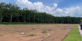 Chủ cần ra đi lô đất giá chỉ từ 190triệu gần trung tâm thành phố Đồng Xoài 