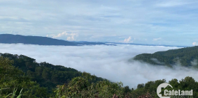 Chính chủ cần sang nhượng lại nhà phố view Tp.Đà Lạt giá tốt 