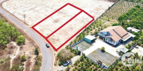 còn mấy lô flash sall lộc hoà lộc ninh binh phước đang phát triển tiềm năng 