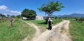 1ha Đất chính chủ,thôn 2 hàm liêm,ô tô vào thoải mái,điện nước đủ