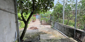 Nhà MT đường 387, full thổ cư 300m2. Tân An Hội 