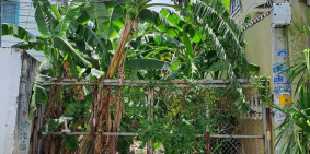 KHU ĐẠI GIA GẦN LOTTE MART - KHU ĐỒNG BỘ NHIỀU BIỆT THỰ - GIÁ 10.6 TỶ- CHỈ 1 LÔ 