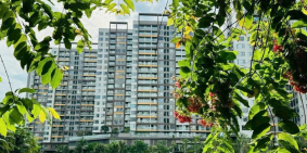 𝐂𝐚̆𝐧 𝐡𝐨̣̂ 𝐜𝐚𝐨 𝐜𝐚̂́𝐩 𝐓𝐫𝐞𝐥𝐥𝐢𝐚 𝐂𝐨𝐯𝐞–𝐌𝐢𝐳𝐮𝐤𝐢 𝐏𝐚𝐫𝐤, 𝐍𝐚𝐦 𝐒𝐚̀𝐢 𝐆𝐨̀𝐧 