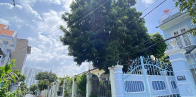 360 Phạm Hữu Lầu, thị trấn Nhà Bè, ô tô tránh nhau - 106.9m², ngang 4.10 x 29