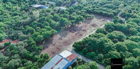 Đất nền TCSR P. Bình Lộc gần các tiện ích đầy đủ. 