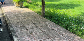 đất đẹp không tỳ vết hãy nhanh đầu tư để co lợi nhuận cao