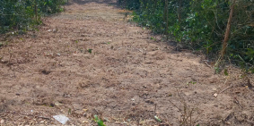 bán đất gò hà-hoà khương