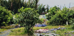 BÁN LÔ ĐẤT 923M2 - MẶT TIỀN NGANG LỚN 24M - ĐƯỜNG XƯƠNG CÁ - GẦN QUỐC LỘ 50