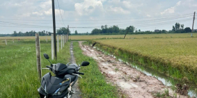 1000m vuông đất lúa vị trí đẹp