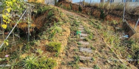 Bán đất nông, lâm nghiệp: Bán Đất Mặt Tiền Kqh An Sơn – Tặng Nhà Cấp 4 | View Đồ