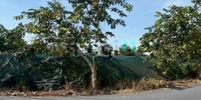 Bán đất thổ cư: Bán đất 1400m2 tại Nguyễn Thị Lắng, Tân Phú Trung, Củ Chi, giá 7