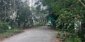 Căn hộ chung cư: 1176m2, mặt tiền đường Bùi Thị Ngọn, An Nhơn Tây, Củ Chi. Giá 6