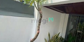 Bán nhà riêng: Bán nhà mặt tiền Bà Hạt Quận 10, 50m2 5 tầng chỉ nhỉnh 15 tỷ