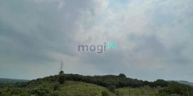 Bán nhà riêng: Chính chủ cần bán 1000m2 đất trồng xoài Thái giá rẻ