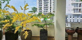 Bán nhà riêng: Nhà mặt tiền, 5 tầng gần Phạm văn Đồng thu nhập 65tr/th 10x21; 25