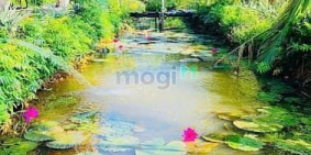 Bán biệt thự: Bán gấp nhà vườn THỔ CƯ Nhơn Trạch gần TP.HCM giá rẻ,OTO, SR CHÍNH