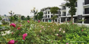 Bán nhà phố dự án: Bán LK KĐT EDEN ROSE, gần vườn hoa thoáng mát, an sinh đỉnh,v