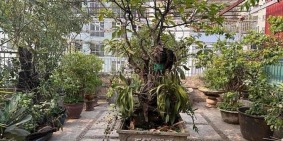 Bán nhà phố dự án: Bán nhà Nguyễn Hữu Thọ, khu Phân lô bàn cờ, view hồ Linh đàm,