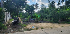 Bán biệt thự: Bán Gấp đất nhà xưởng ngay Hùng Vương Nhơn Trạch giá rẻ 7tr/m, 9 c