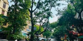 Bán nhà phố dự án: Bán nhà Phân Lô Linh Đàm, vị trí đẹp, ô tô tránh, 76m, 4 tầng