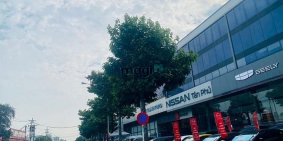 Bán nhà riêng: MT Chế Lan Viên, 83m2 (4.3×19.3), gara ô tô, 3 tầng, 4PN, 15.5 tỷ