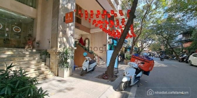 Bán nhà riêng: Bán mặt phố Đỗ Hành | 141m2 | Mặt tiền 7m | Giá 105 tỷ