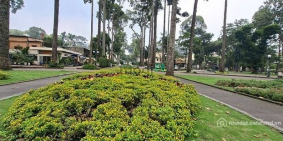 Bán nhà riêng: Nhà 4 tầng Nguyễn Thị Minh Khai Q3, ngay công viên Tao Đàn xanh m