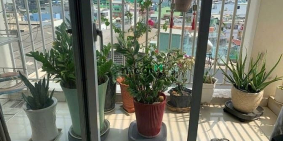 Bán căn hộ chung cư: Bán căn góc chung cư Khuông Việt, có Sổ, 94m2-3PN-2WC, view